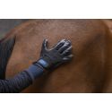 Gants de pansage anti-mue HIPPOTONIC