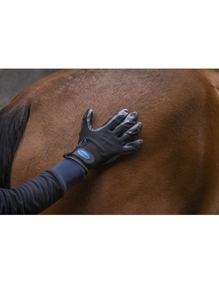 Gants de pansage anti-mue HIPPOTONIC