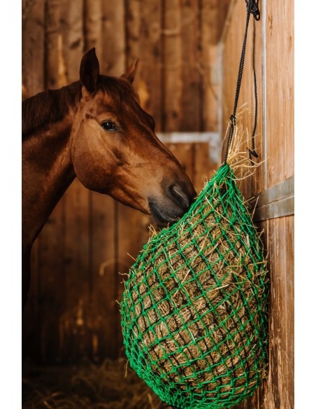 HIPPOTONIC-Heunetz - Double