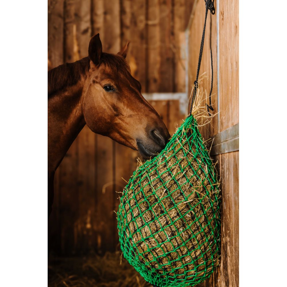 HIPPOTONIC-Heunetz - Double