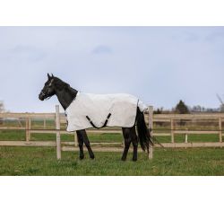 Camiseta EQUITHÈME anti-UV - PVC