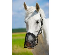 Protector nasal de malla NORTON fly