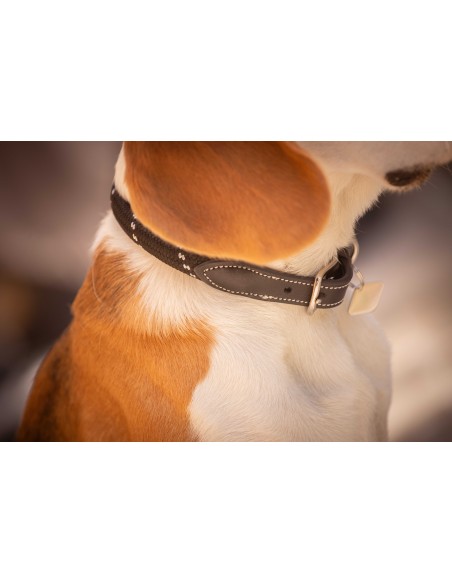 Collier pour chien PENELOPE Billie