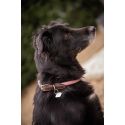 PENELOPE Billie Hundehalsband