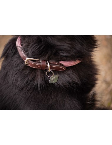 PENELOPE Collar para perro Billie