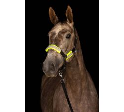 Kit de sécurité bridon ou licol réfléchis