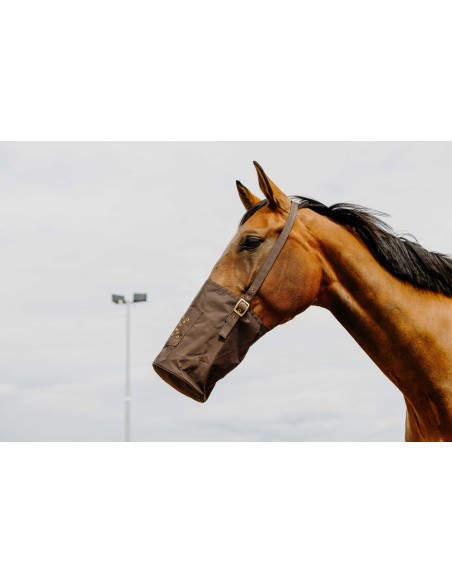 Musette HIPPOTONIC 600 deniers