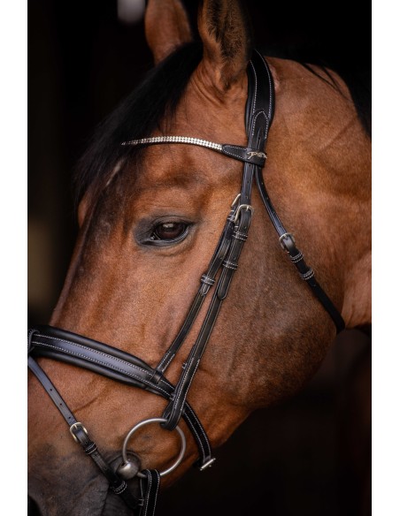 Bridon PENELOPE Daily Strass