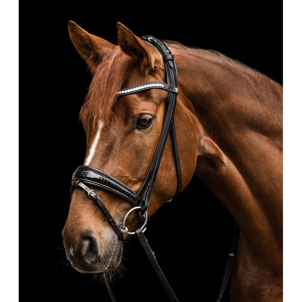 Trense Waldhausen S-Line Magic Waldhausen