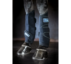 Kühlende Gamaschen Tendon Chill LeMieux