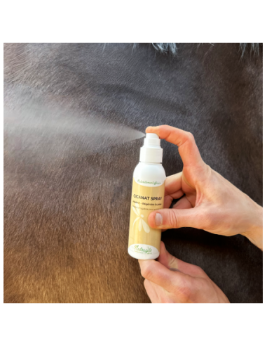 Cicanat Spray Cicatrizante Rápido Nutragile