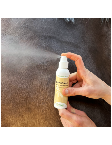 Cicanat Spray Schnelle Wundheilung Nutragile