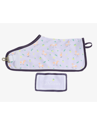 Couverture Toy Pony imprimé Lemon LeMieux