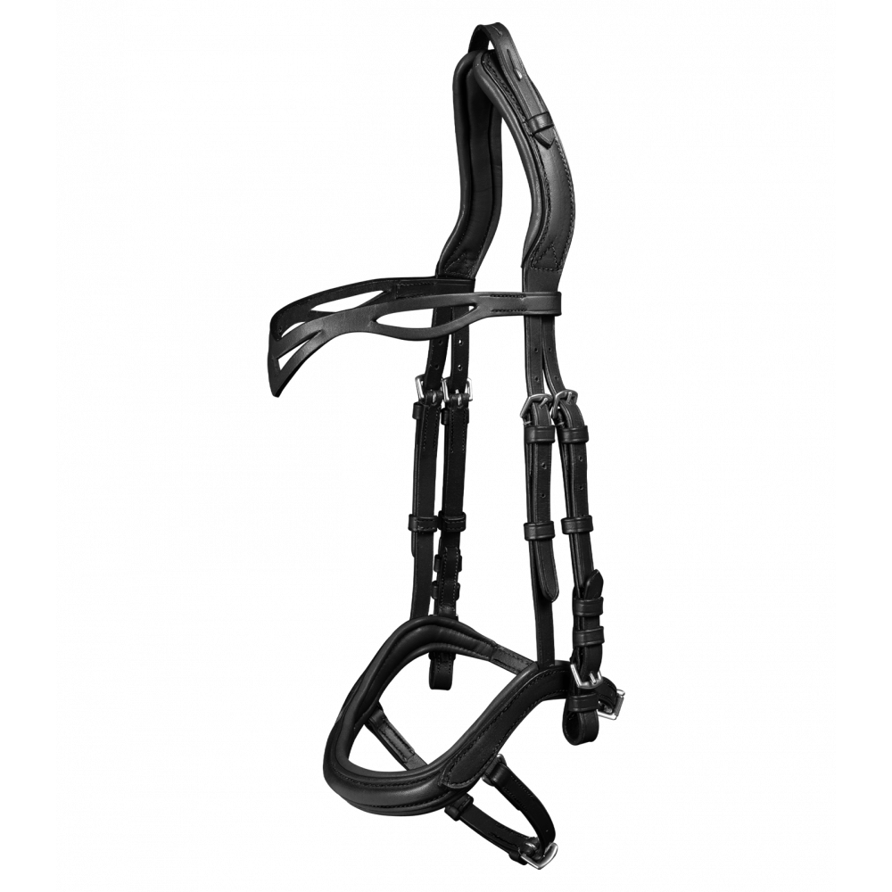 Casco anatómico ajustable Island Waldhausen