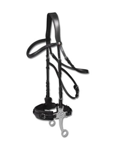 Waldhausen X-Line Trense für hackamore Waldhausen