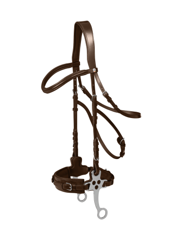 Bridon hackamore Waldhausen X-Line