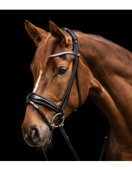 Cabezada Waldhausen S-Line Magic Waldhausen