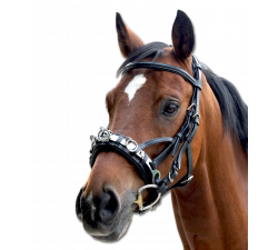 Cavecake aus Leder Waldhausen Waldhausen