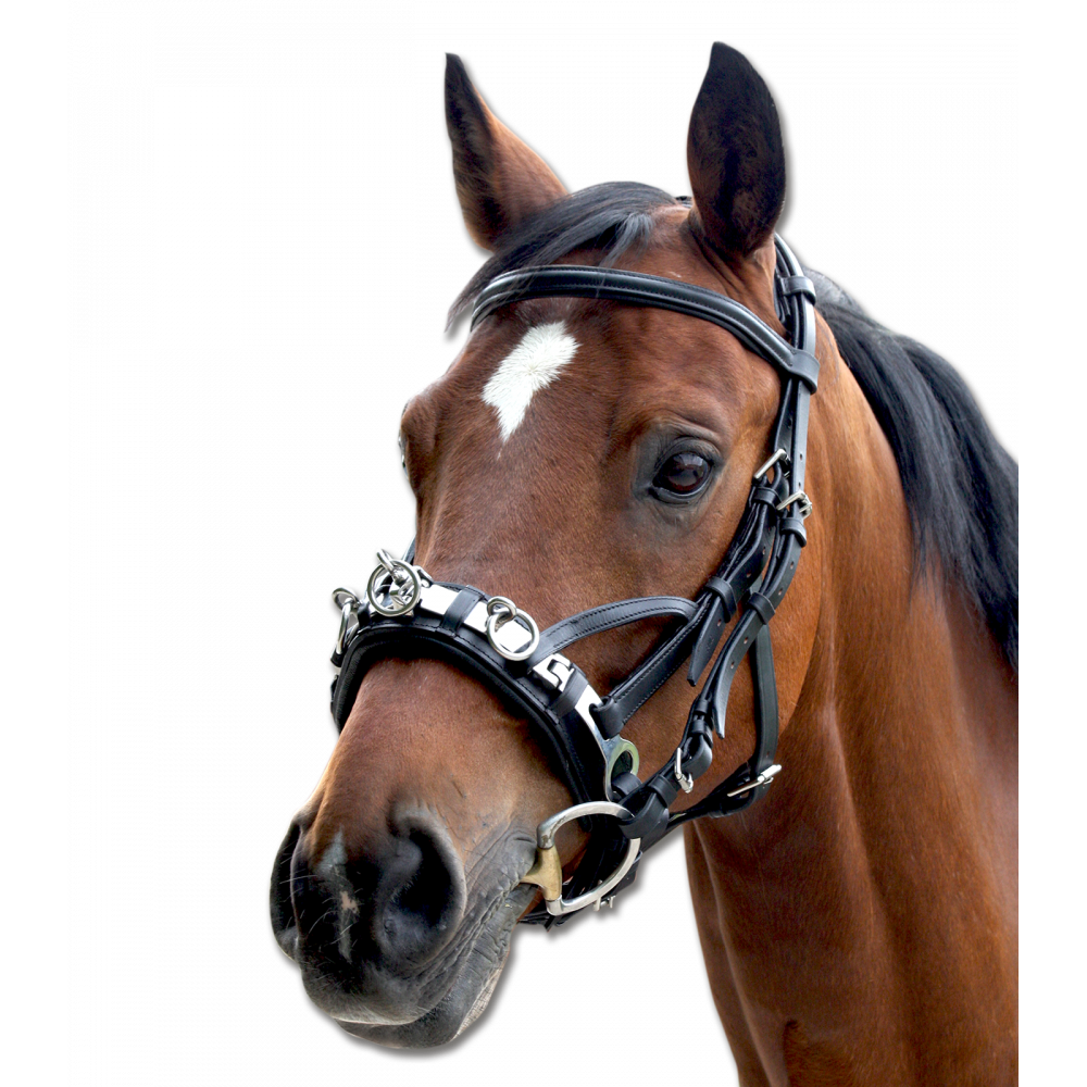 Cojín de cuero Waldhausen Waldhausen