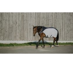 Camiseta de paseo EQUITHÈME - Flycool