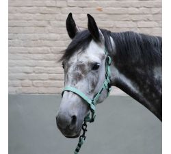 Halfter LC Vibes - LAMI CELL