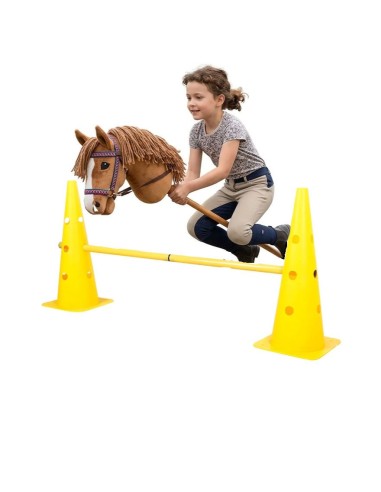 Lot cônes et barres d'obstacle hobby-horse