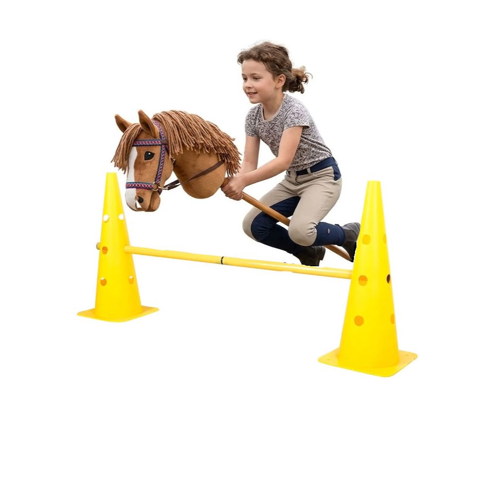 Lot cônes et barres d'obstacle hobby-horse