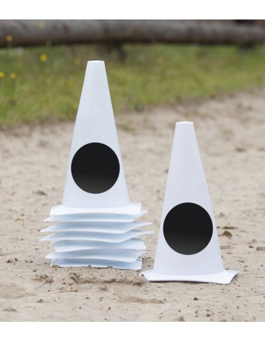 4 Kegel Kreispunkt Waldhausen