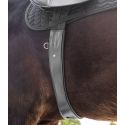 Cincha de silla de cuero con elástico Waldhausen