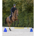Bloc d’obstacle Cavaletti Waldhausen