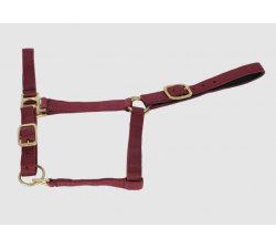 Licol synthétique doublé cuir TdeT du poney au cheval de trait