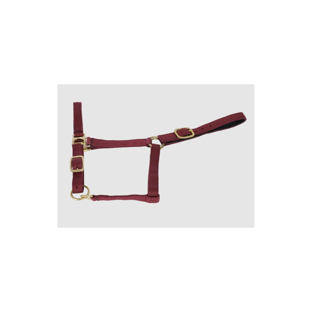 TdeT Licol doublé suédine du shetland au cheval de trait déstocké