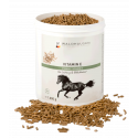Vitamina E - Rendimiento y resistencia, 1 kg Waldhausen