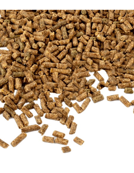 Vitamine E – Performances et résistance, 1 kg Waldhausen