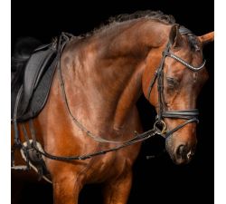 Riendas fijas Riendas elásticas