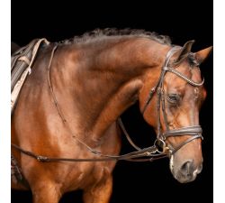 Feste Zügel Lederbesatz