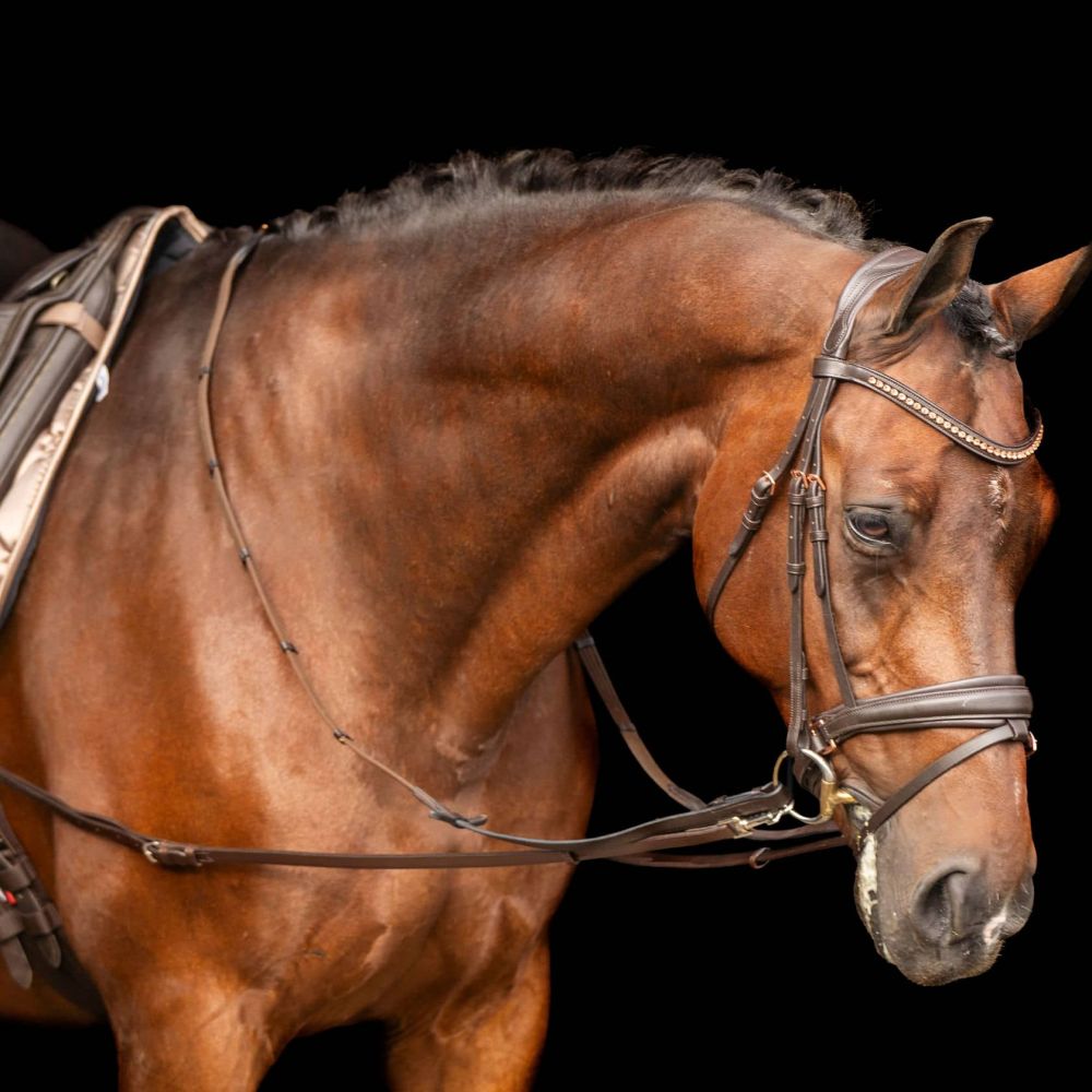 Rênes fixes Enrênement cuir