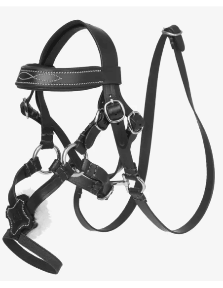 Bridon à muserolle croisée Toy Pony LeMieux