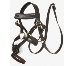 Trense mit gekreuztem Nasenriemen Toy Pony LeMieux