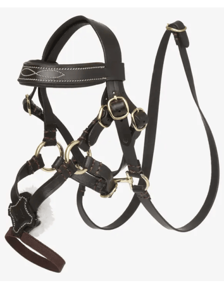 Bridon à muserolle croisée Toy Pony LeMieux