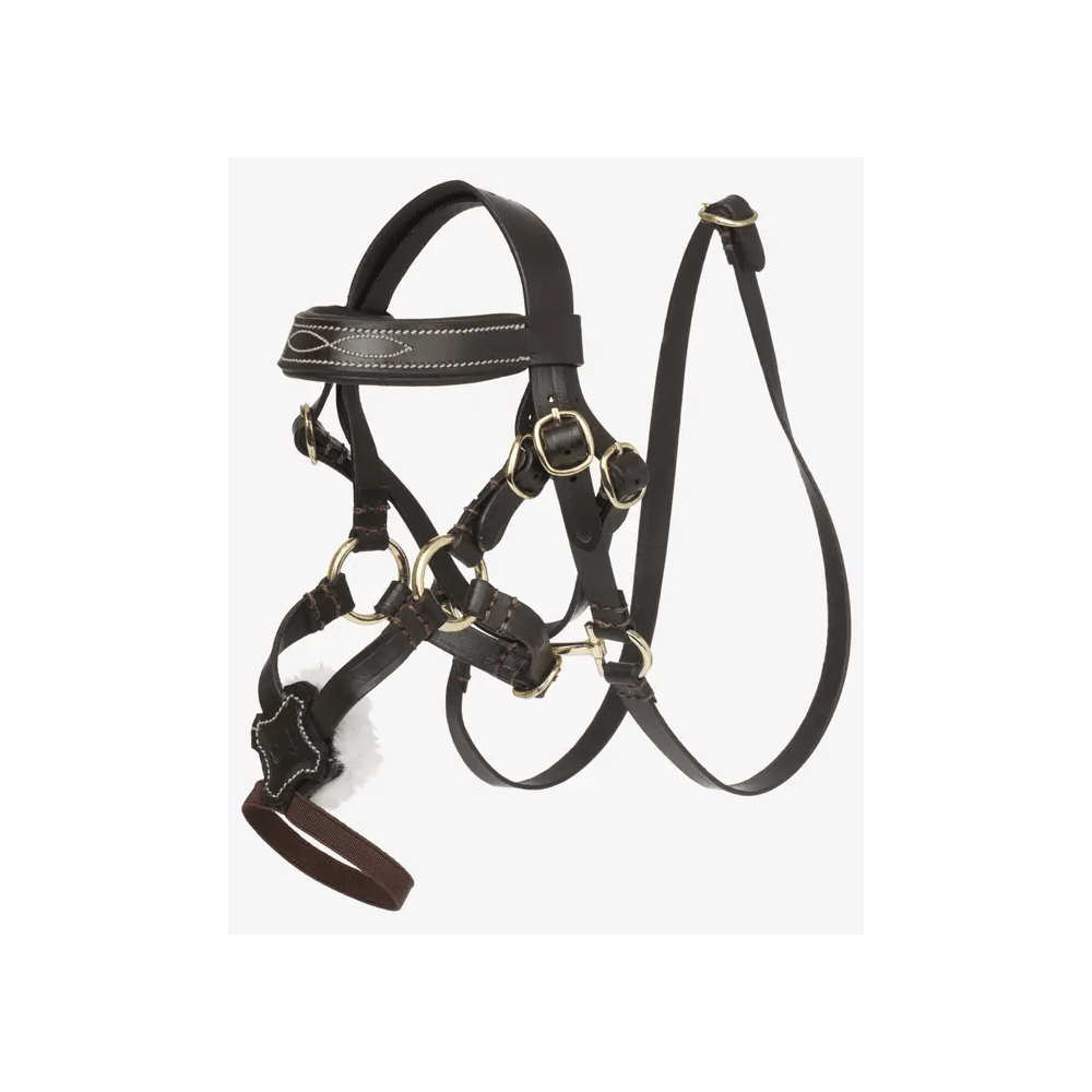 Bridon à muserolle croisée Toy Pony LeMieux
