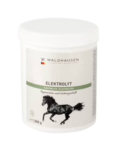 Elektrolyt - Leistungen, 1 kg Waldhausen