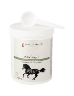 Elektrolyt - Leistungen, 1 kg Waldhausen 2