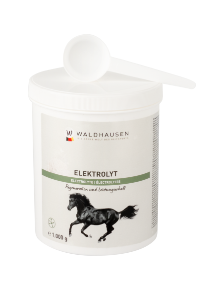 Elektrolyt - Performances, 1 kg Waldhausen