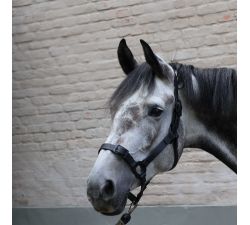 Halfter LAMI-CELL - Flexicare