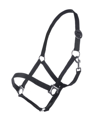 John Doe Licol Nylon
