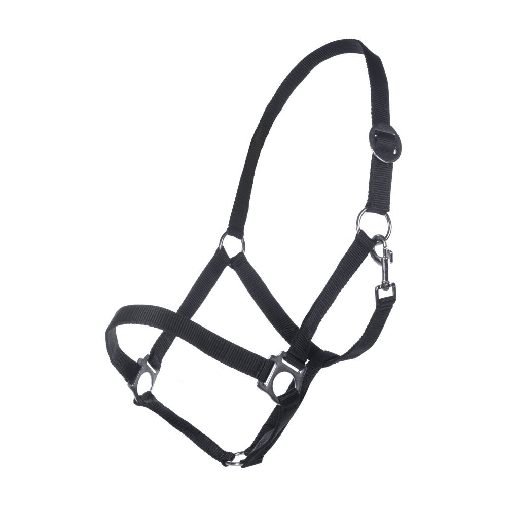 John Doe Licol Nylon