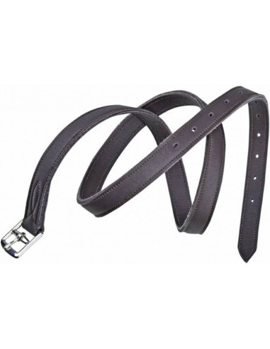 Lot de 10 Etrivières Economic HKM