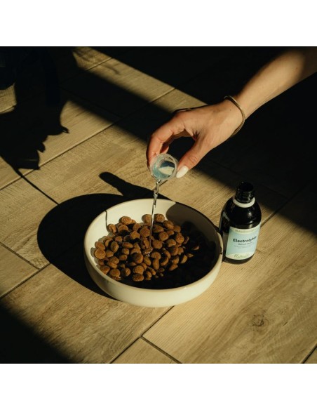 Electrolitos Nutragile para perros