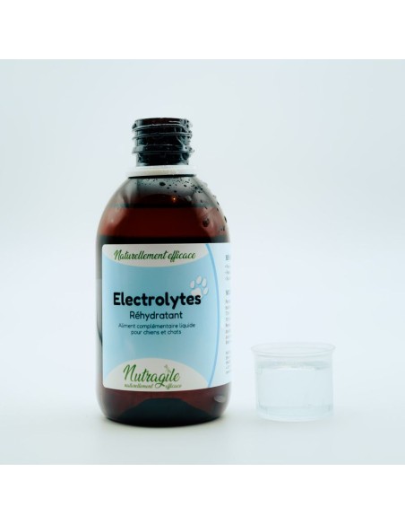 Elektrolyte Nutragile für Hunde